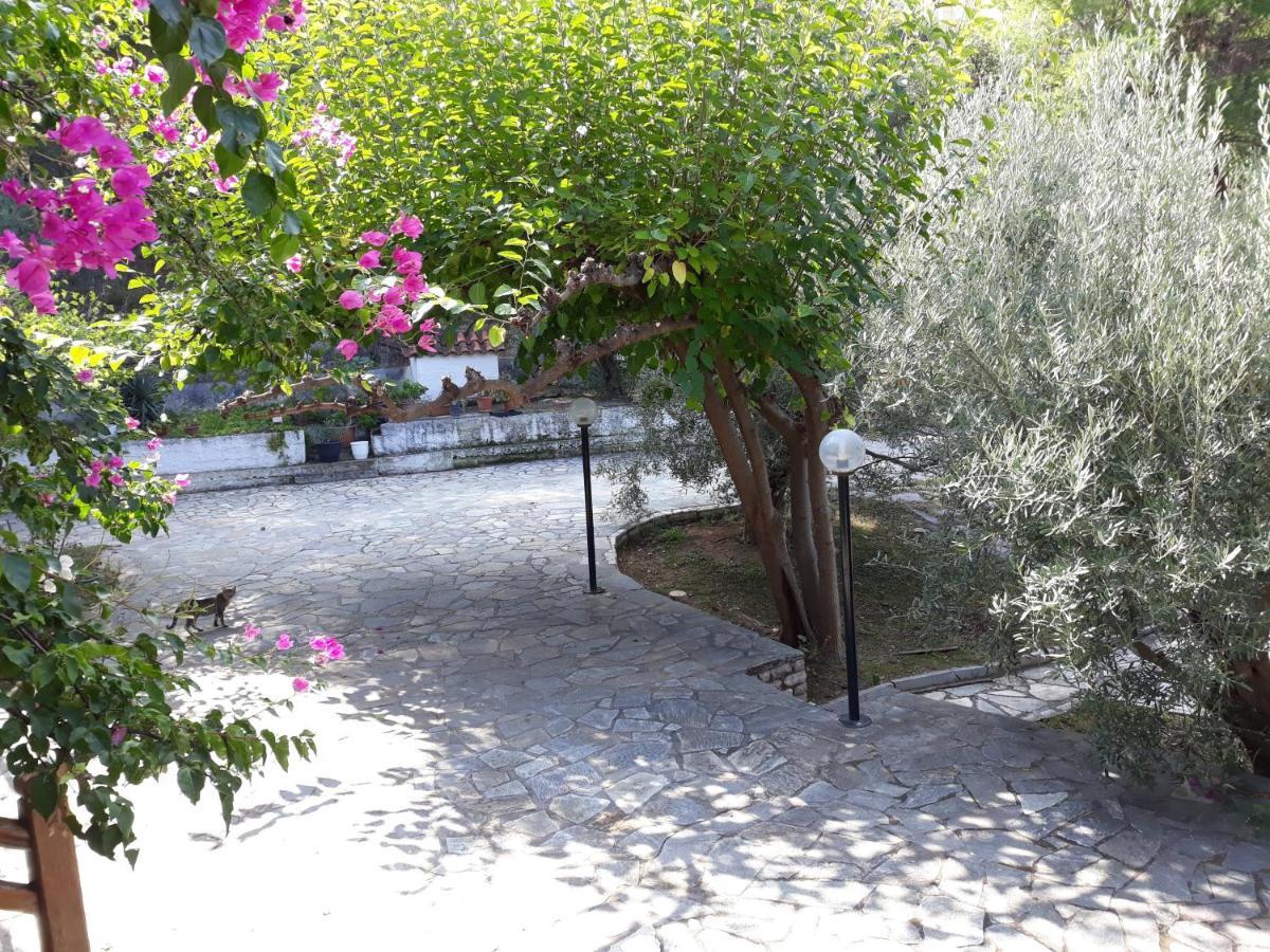 Apartamento Σπίτι Σε Ελαιώνα, House In An Olive Grove Ária Exterior foto