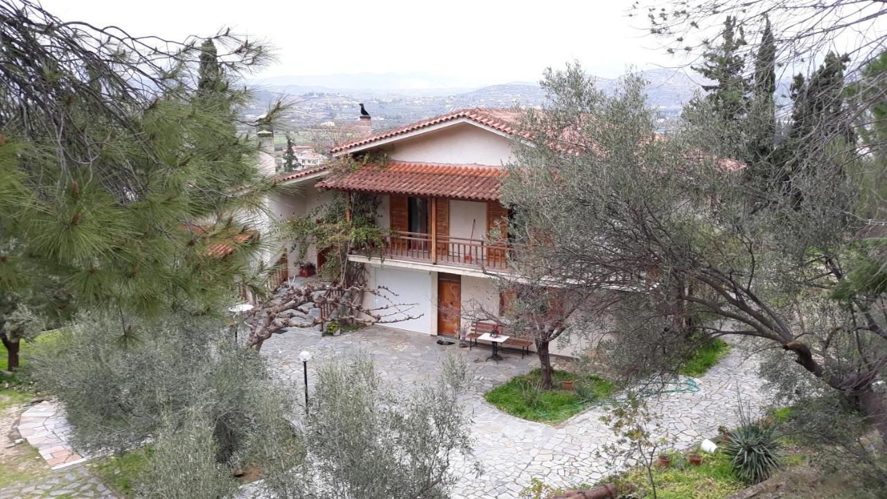 Apartamento Σπίτι Σε Ελαιώνα, House In An Olive Grove Ária Exterior foto