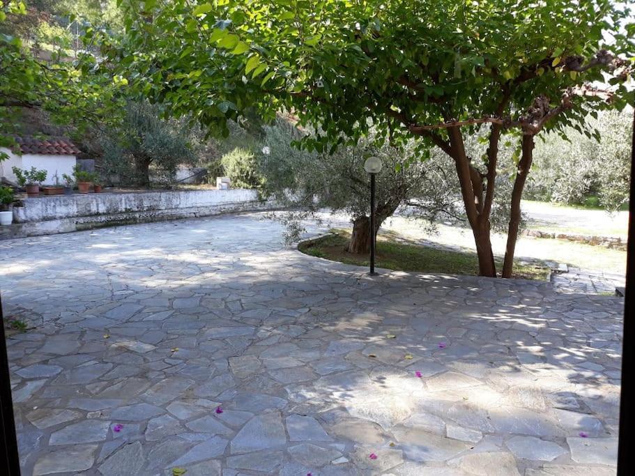 Apartamento Σπίτι Σε Ελαιώνα, House In An Olive Grove Ária Exterior foto