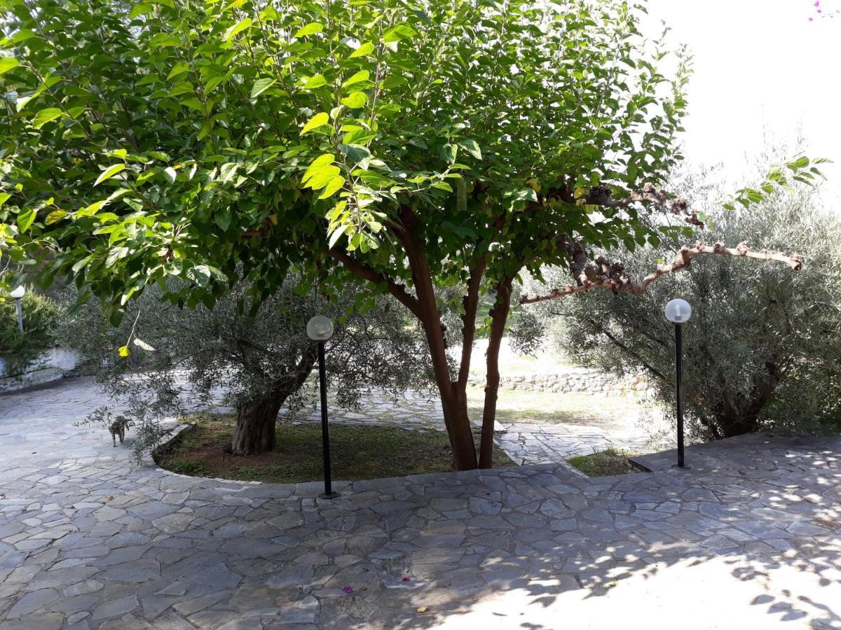 Apartamento Σπίτι Σε Ελαιώνα, House In An Olive Grove Ária Exterior foto