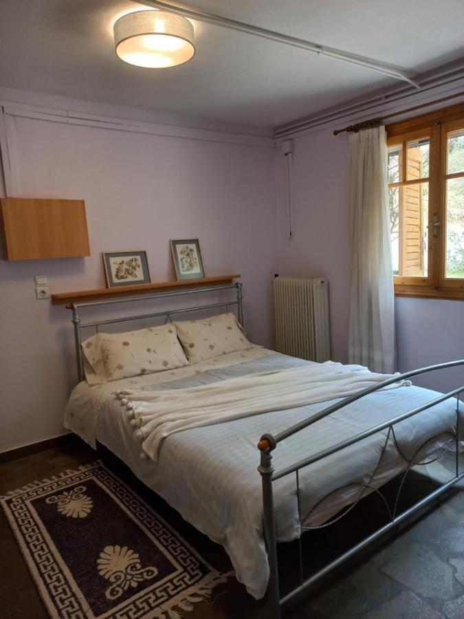 Apartamento Σπίτι Σε Ελαιώνα, House In An Olive Grove Ária Exterior foto
